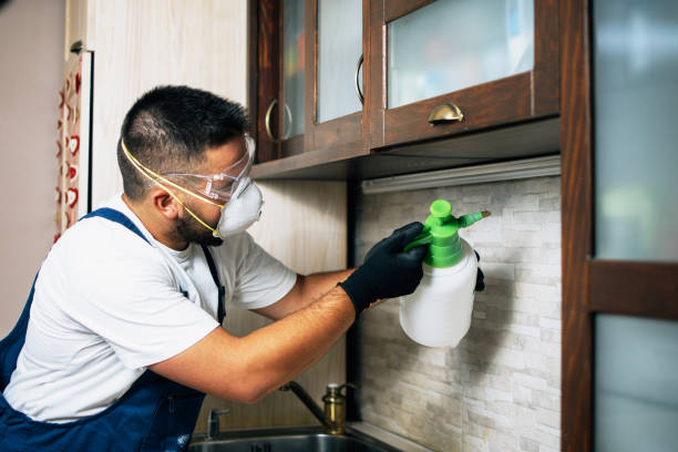 Best Bed Bug Extermination  in Elk City, OK