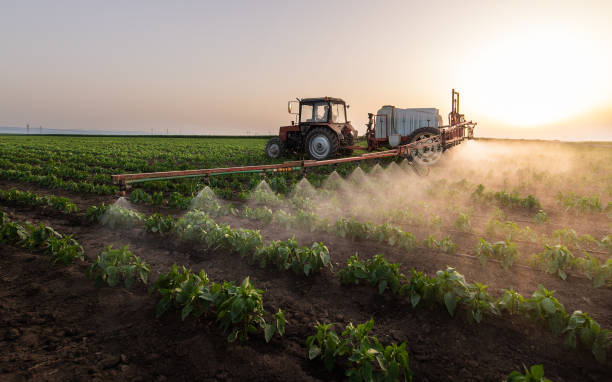Best Mosquito Control Services  in Elk City, OK