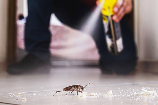 Best Pest Control Near Me in Elk City, OK