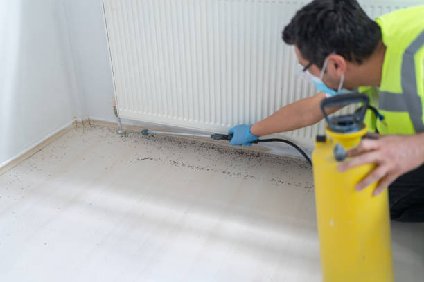 Best Mosquito Control Services  in Elk City, OK